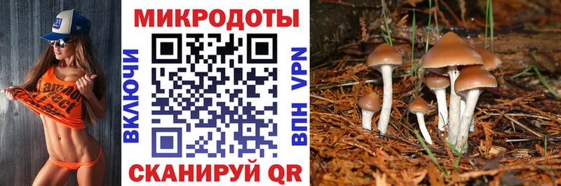 Галлюциногенные грибы GOLDEN TEACHER  Купить  Чердынь 
